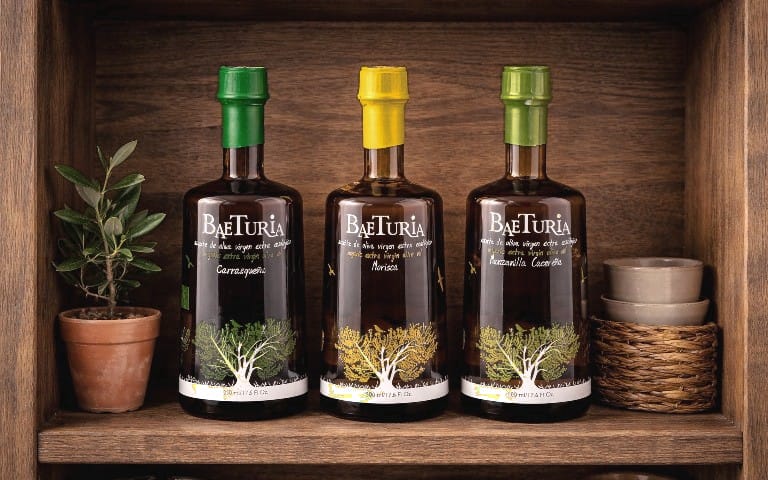 ChatGPT Image 8 ene 2026, 12_06_02-2